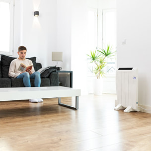 Cecotec Émetteur Thermique Ready Warm 800 Thermal Connected