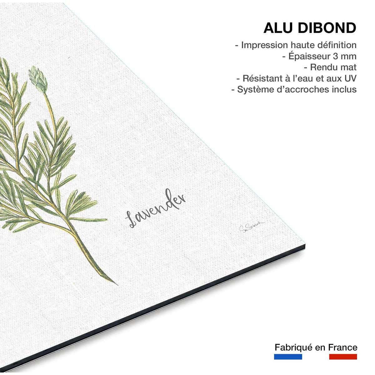 Tableau fleurs Lavande illustrée Tableau alu Dibond