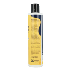Champú con Proteínas Hidrolizadas Método Curly 250 ml Revitalizante, Reparador, Vegano y Natural - Champú Metodo Curly Para Pelo Sano y Brillante | Elaborado en España