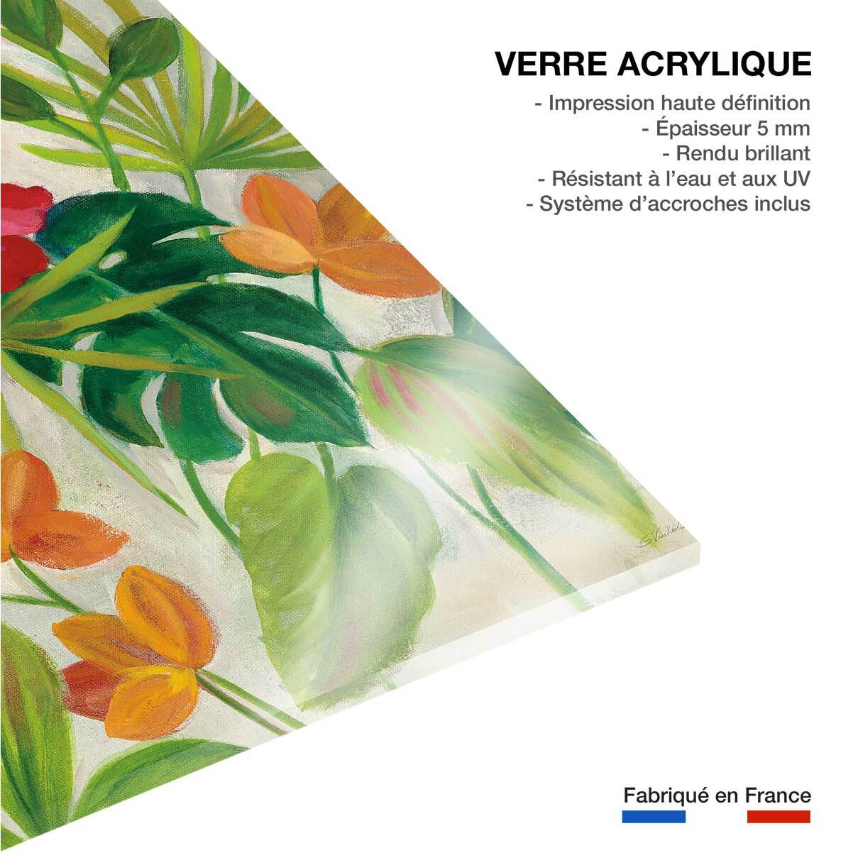 Tableau Jardin tropical Tableau plexiglas