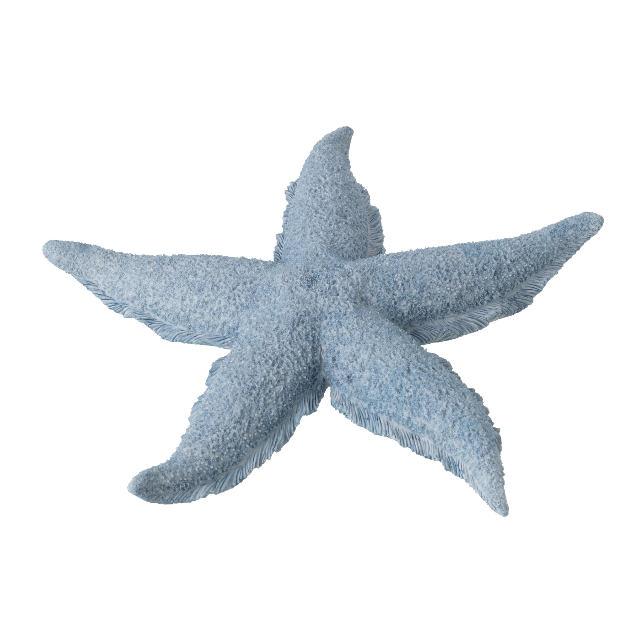 J-Line Étoile de Mer décorative - polyrésine - bleu clair - large