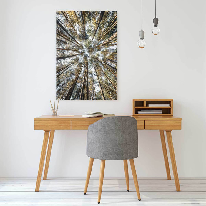 Tableau perspective des cîmes Tableau alu Dibond