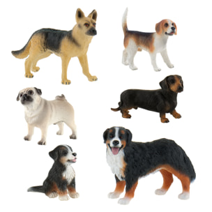 Set 6 Cani Realistici Dipinti a Mano