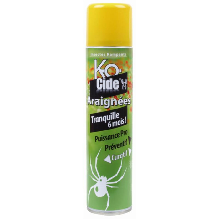 Insecticide Laque anti-araignées KOCIDE 405 ml - KA