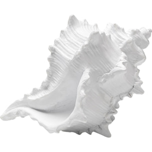 Déco coquillage blanc 19cm Kare Design