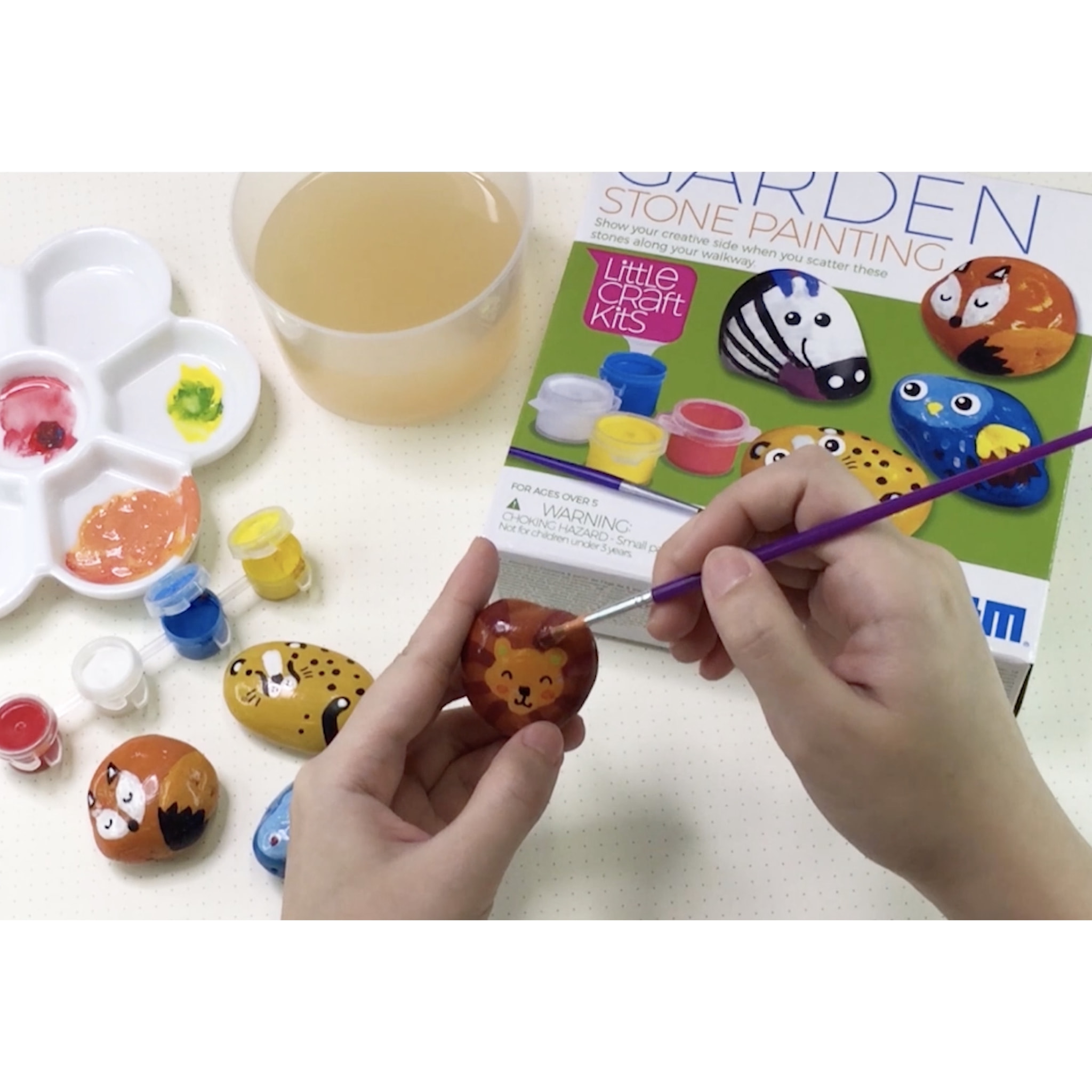 Creatività e Fantasia Giardino Kit per Dipingere Sassi