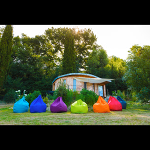 William Original Vert Anis