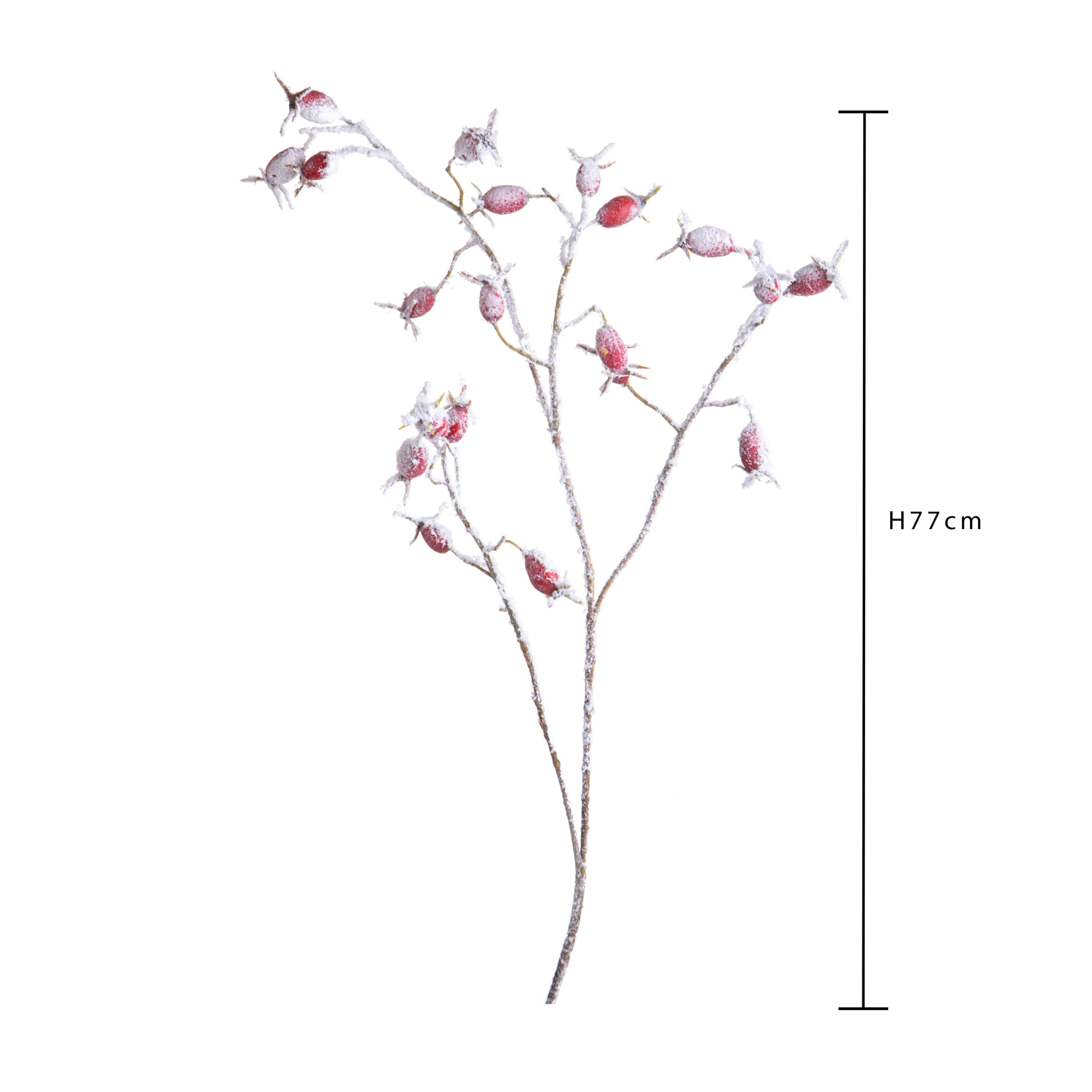 Ramo - Pezzi 12 - 20xH77x18cm - Bianchi Dino SpA