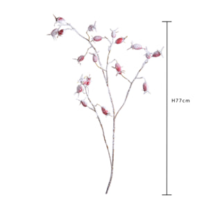 Ramo - Pezzi 12 - 20xH77x18cm - Bianchi Dino SpA