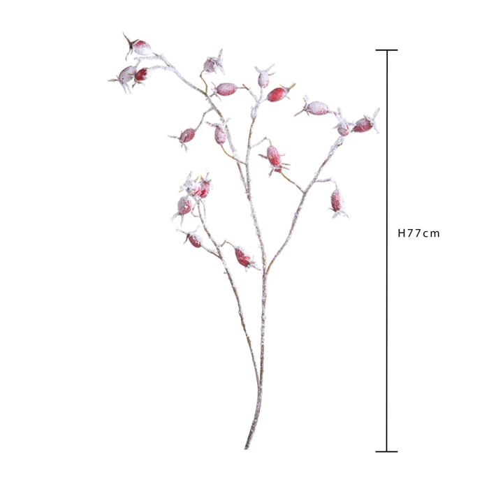 Ramo - Pezzi 12 - 20xH77x18cm - Bianchi Dino SpA