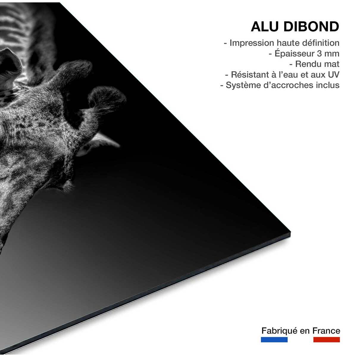 Tableau animaux girafe discrète Tableau alu Dibond