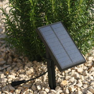 Guirlande solaire 10 ampoules MAFY SOLAR 6.5M