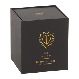 J-Line bougie parfumée Astro Lion – Rainbow Reef - noir - 50H