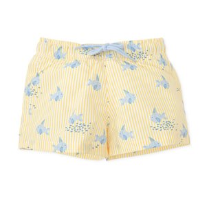 Boxer-- - Amarillo