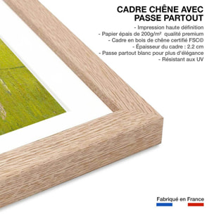 Poster Le semeur au soleil couchant - Vincent Van Gogh Affiche sous cadre bois