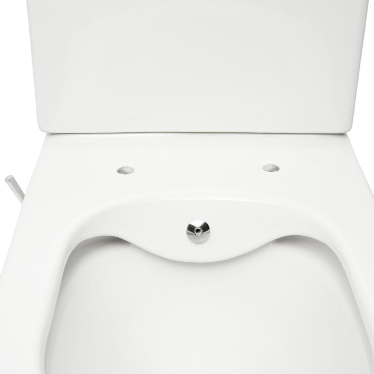 Brevis WC à poser sans bride en céramique avec fonction bidet + abattant SoftClose + réservoir de chasse, blanc (SATBRE36BFC)
