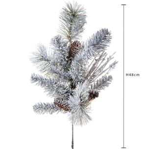 Pino - Pezzi 12 - 30xH48x9cm - Bianchi Dino SpA