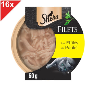 SHEBA Dômes au Poulet (16x60g)