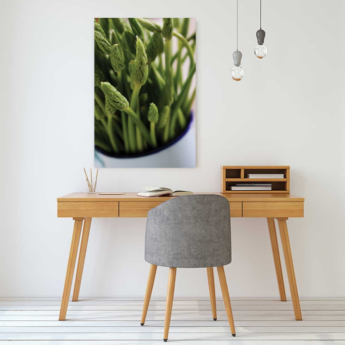 Tableau graine germée verte Tableau plexiglas