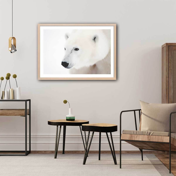 Affiche photo ours blanc polaire Affiche + cadre en bois - Chêne