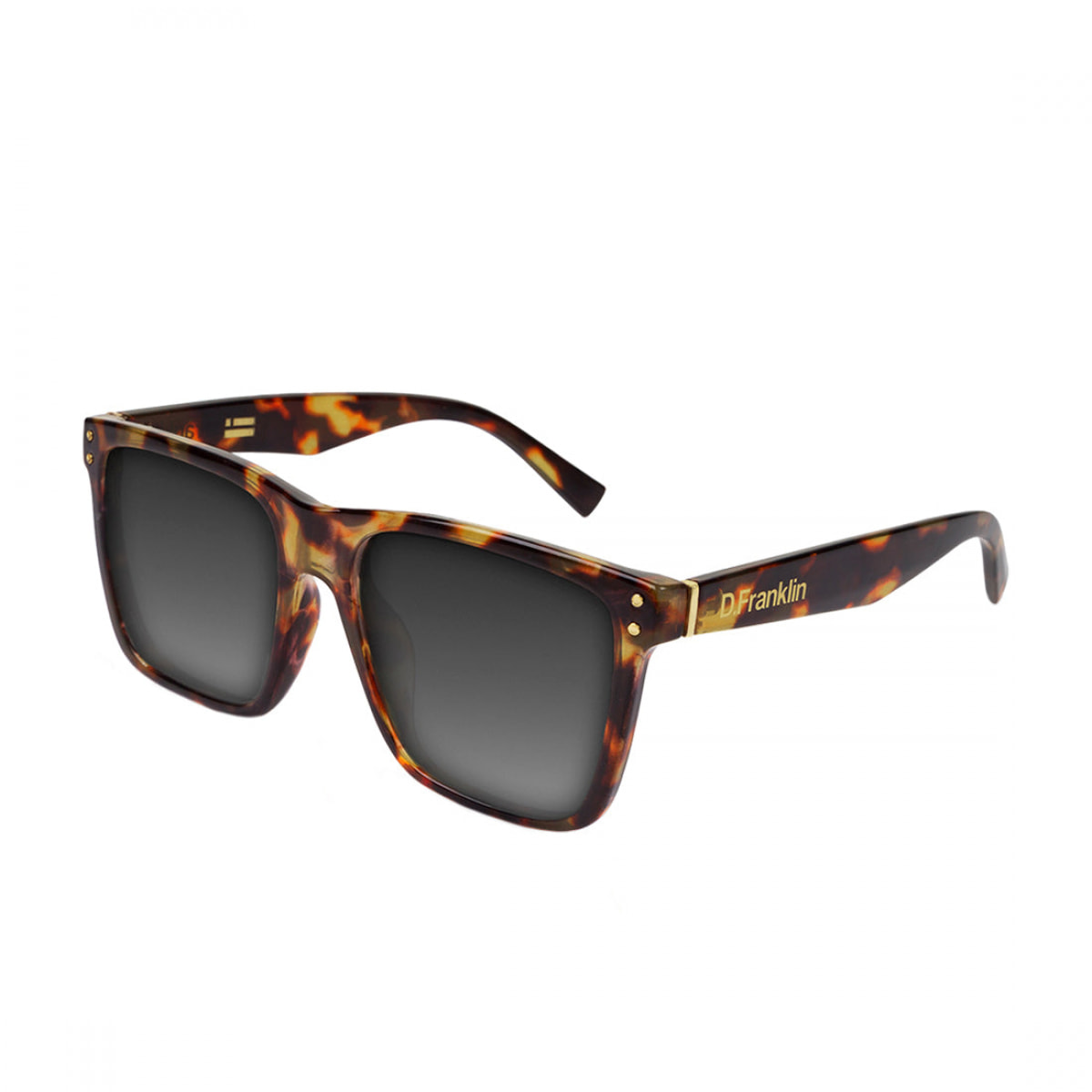 Gafas de Sol Roosevelt II Carey / Brown D.Franklin