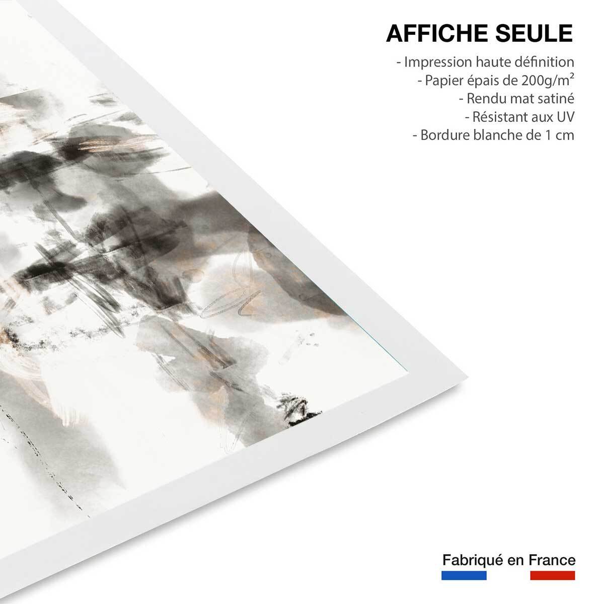 Affiche Chaos sauvage Affiche seule