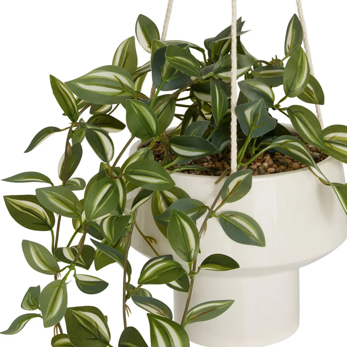 Plante suspendue Homy H.80cm
