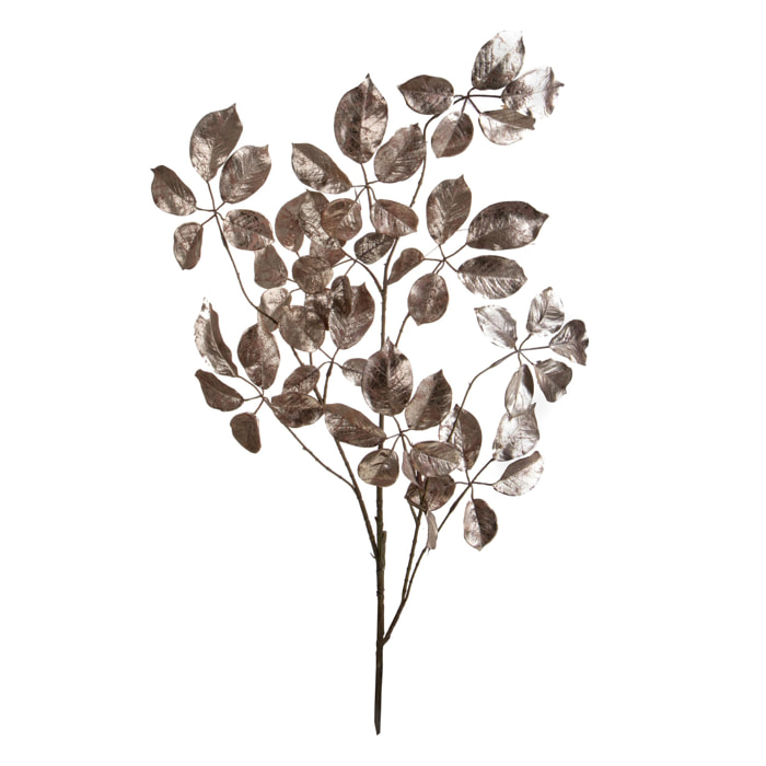 Faggio ramo - Pezzi 6 - 21xH123x0,5cm - Bianchi Dino SpA