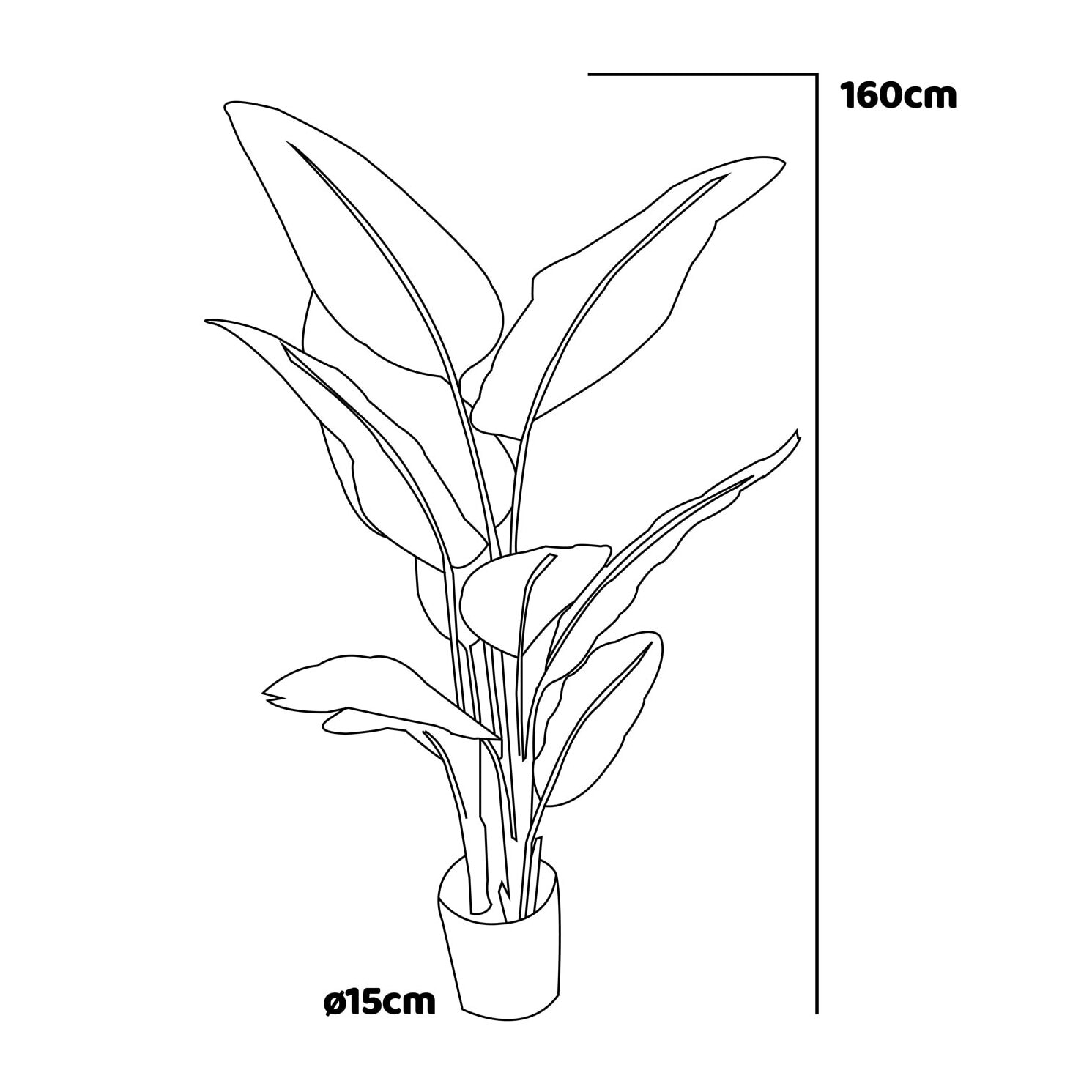 Traveller Banana - Pianta artificiale in vaso H160 cm