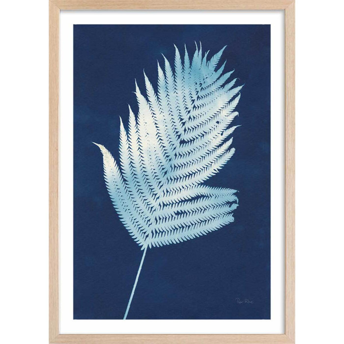 Affiche Fougère d'argent Affiche + cadre en bois - Chêne