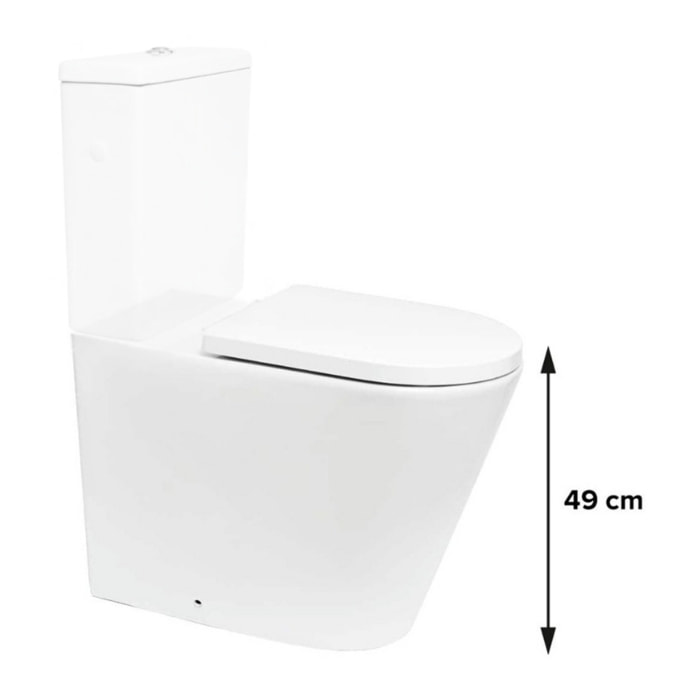 Brevis cuvette WC PMR à poser SEULE sans bride en céramique (réservoir non fourni), blanc (SATBRE32M)