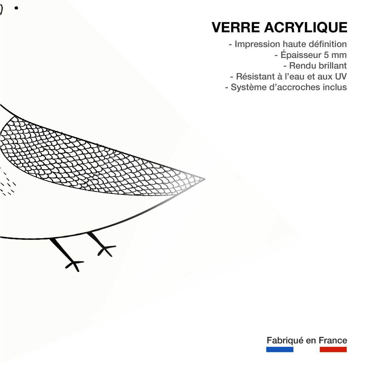 Tableau dessin hibou boo Tableau plexiglas