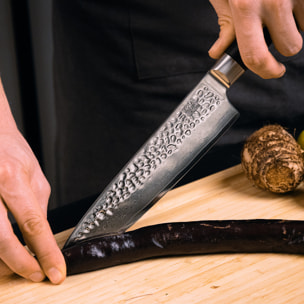 Cuchillo de Chef martillado "Gyuto" - 200mm - Colección Pakka Damascus