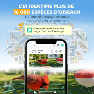 Mangeoire oiseaux avec caméra solaire 3M pixels reconnaissance IA grand angle 142° - 30 x 34 x 26 cm - métal vert