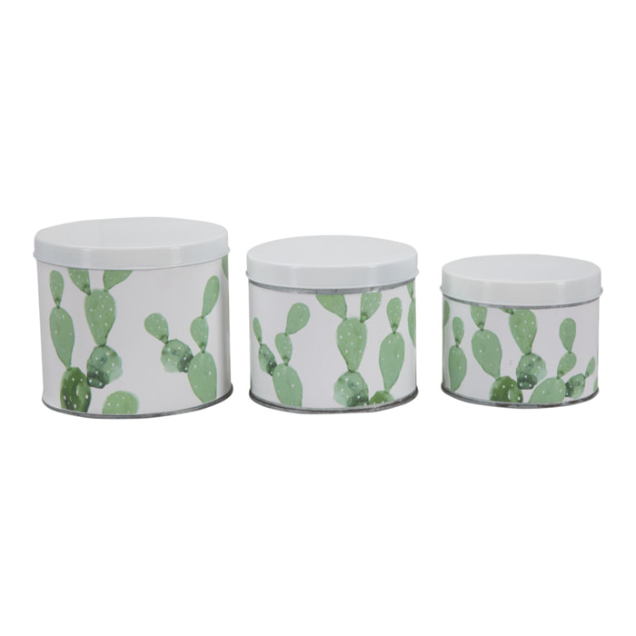 COFANETTI CACTUS SET 3 PZ OFFICINE 55 BICOLORE