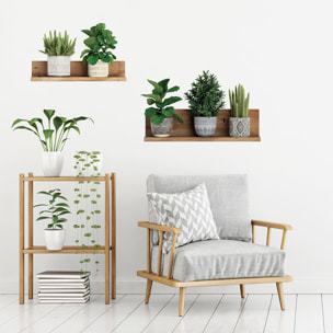 Stickers muraux 3D | Sticker Mural Autocollant effet PLANTES VERTES SUR ÉTAGÈRES - Stickers adhésifs 3D Chambre Salon Trompe l'oeil