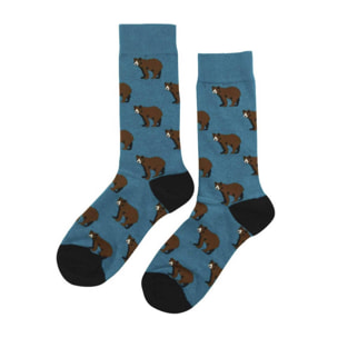Calcetines bear