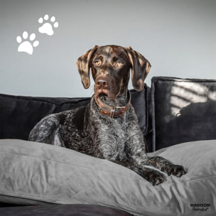 Coussin pour chien - Gris Foncé