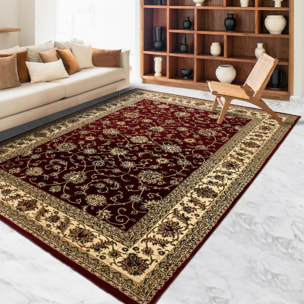 Tapis orient tissé motifs orientaux DUTE