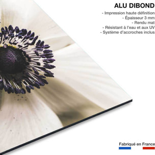 Tableau plantes fleur blanche au coeur violet  Tableau alu Dibond