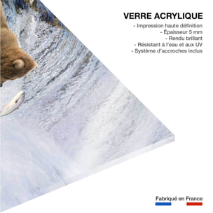 Tableau Un ours pêche sur le bord Tableau plexiglas