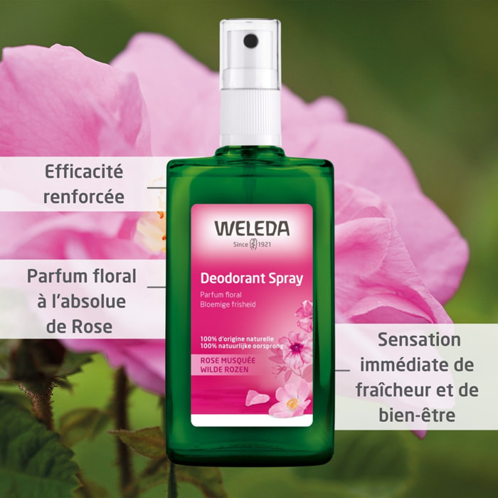 WELEDA - Duo Déodorant à la Rose musquée - 2x100 ml