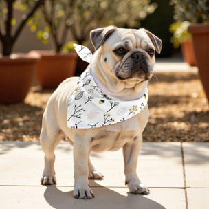 Pack de 2 bandanas pour animaux Santorini