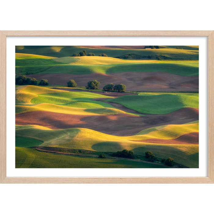 Affiche Colline colorée Affiche + cadre en bois - Chêne