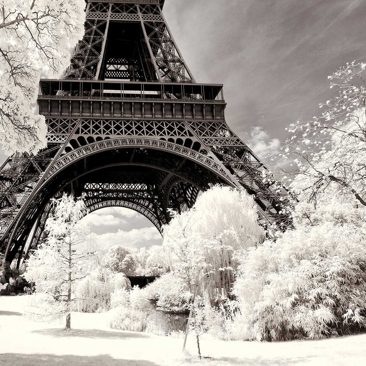 Tableau paris winter white la tour eiffel Toile imprimée