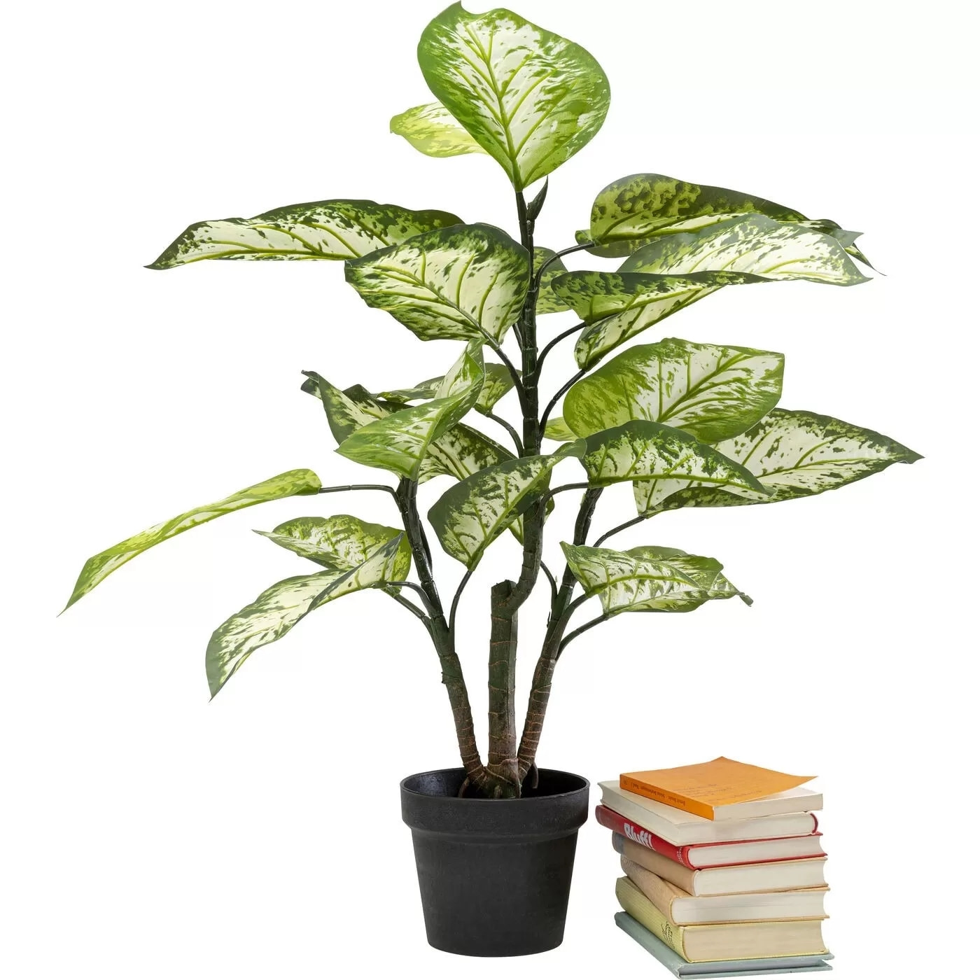 Plante décorative Dieffenbachia 100cm Kare Design