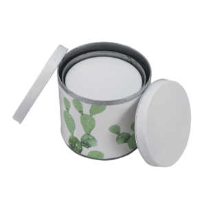 COFANETTI CACTUS SET 3 PZ OFFICINE 55 BICOLORE