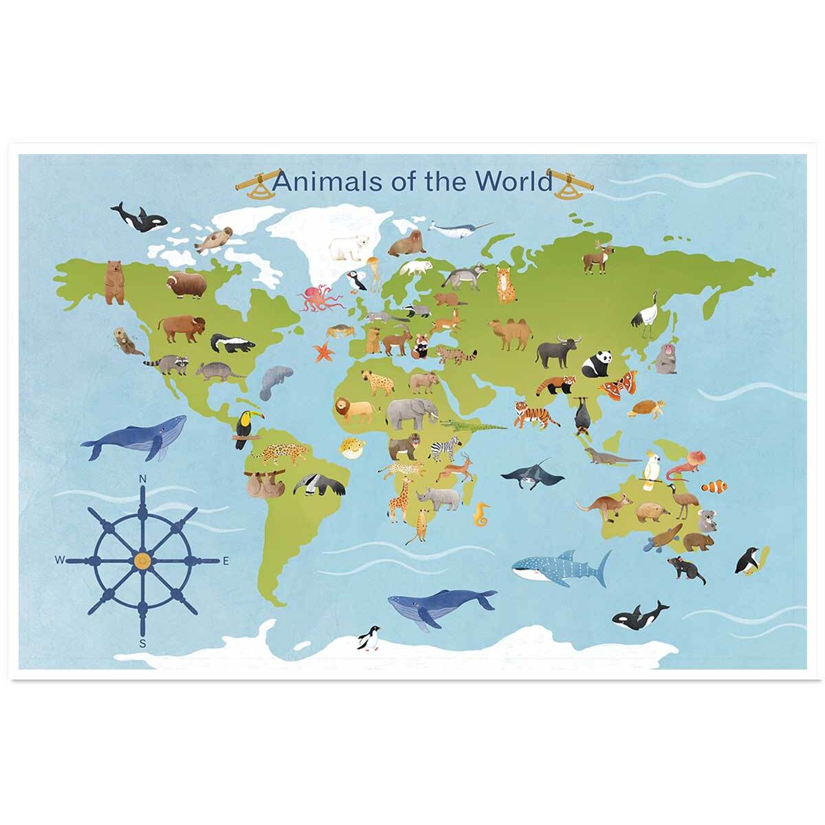 Affiche enfant animaux du monde  Affiche seule