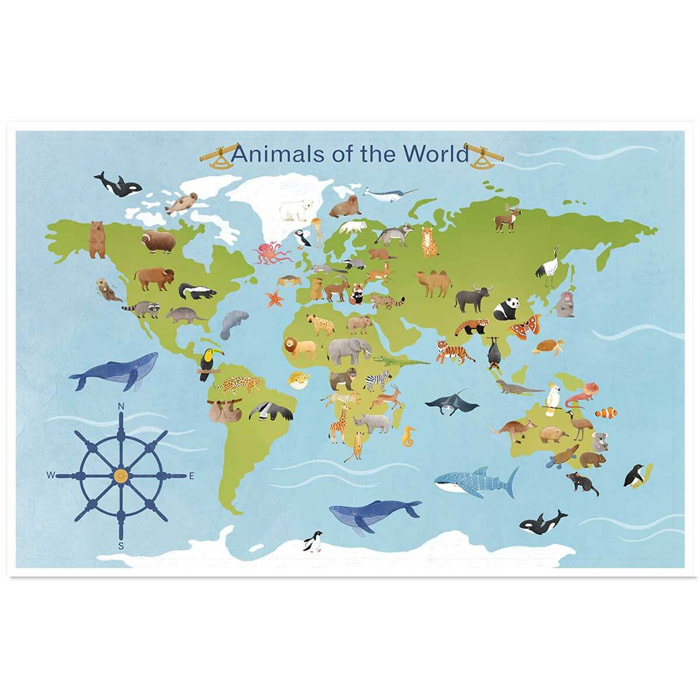 Affiche enfant animaux du monde  Affiche seule