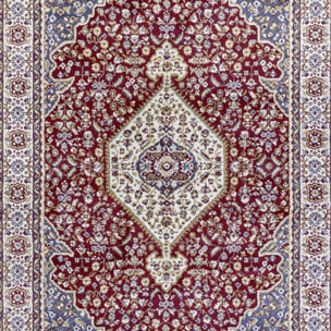 Tapis salon Rectangulaire Oriental